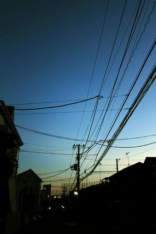 20110628_02b.jpg