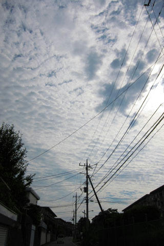 20110701_001.jpg