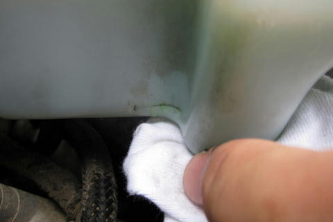 IMG_1513.JPG