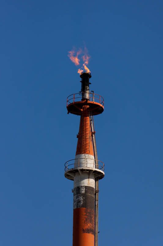 20130316_06.jpg