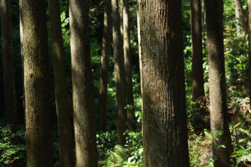 20130429_01.jpg