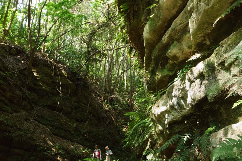 20130429_02.jpg