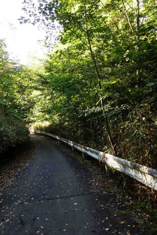 雁坂峠