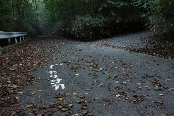 雁坂峠