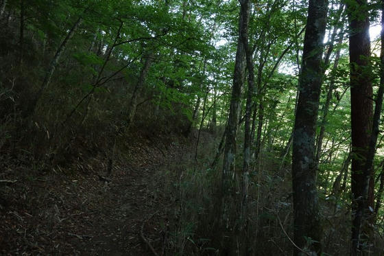 雁坂峠