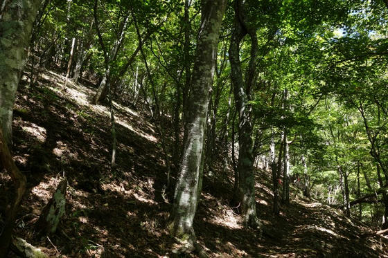 雁坂峠