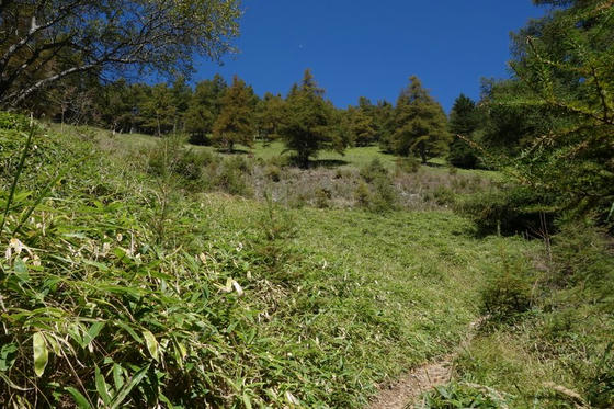 雁坂峠