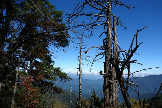 雁坂峠