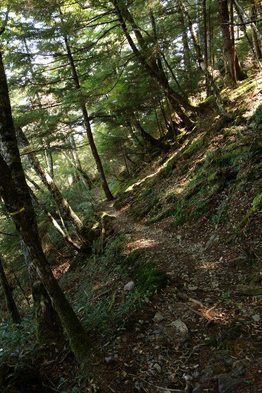 雁坂峠