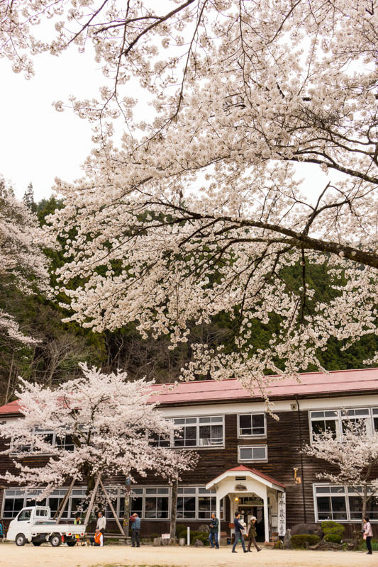 木沢小学校
