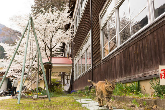 木沢小学校