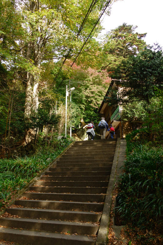 大山登山