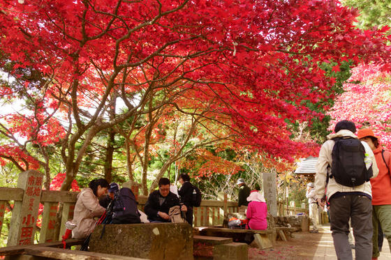 大山登山