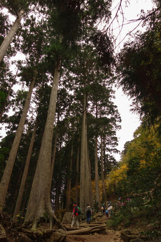 大山登山