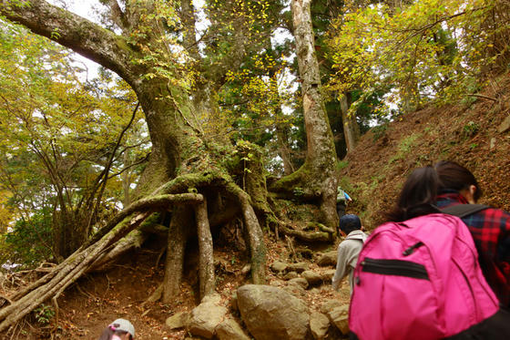 大山登山