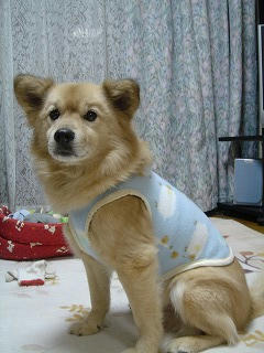 2006.12.04-01.jpg
