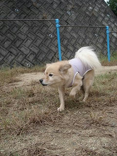 b6e73100jpeg