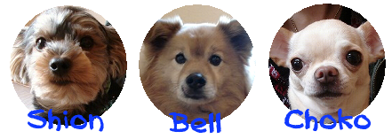 2008.01.31--002.png
