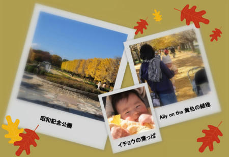 2010111901.jpg