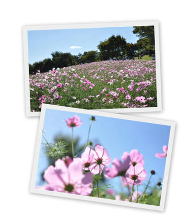 2010101301.jpg
