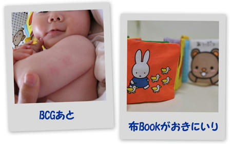 2010112202.jpg