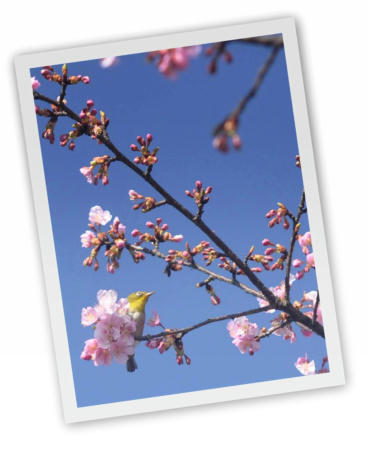 20110128.jpg