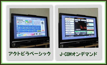 20110202.jpg