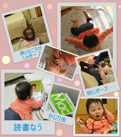 2011021602.jpg