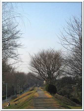 2011022701.jpg