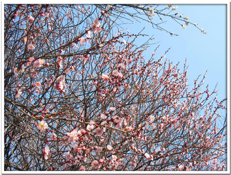 2011022702.jpg