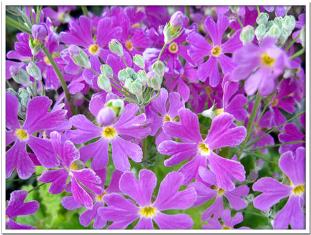 2011022703.jpg