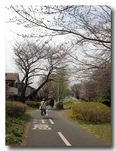2011033001.jpg