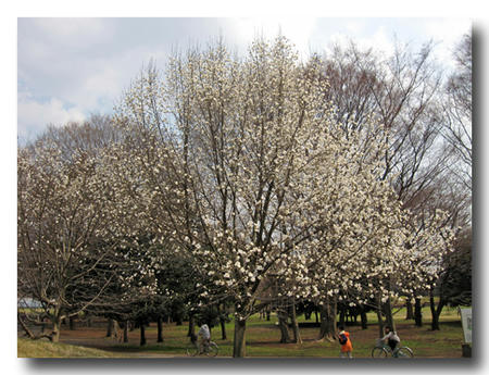 2011033002.jpg