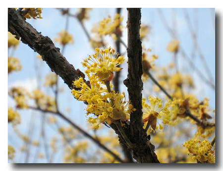 2011033003.jpg