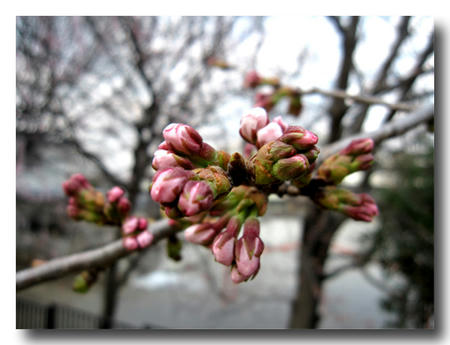 2011033004.jpg