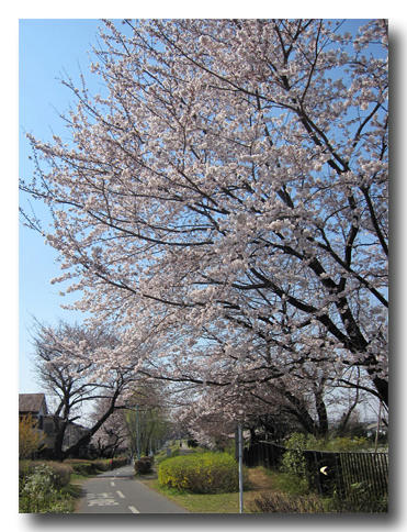 2011040602.jpg