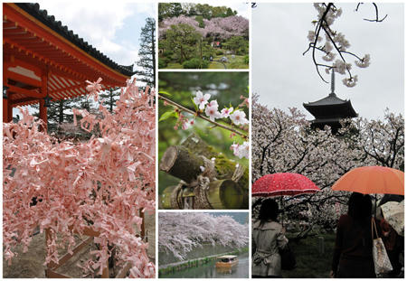 2011041201.jpg