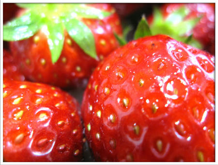 2011041202.jpg