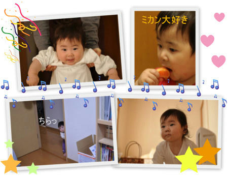 picasa6.jpg