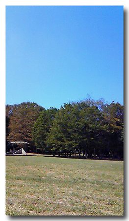 NEC_0468.jpg
