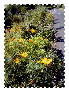201110041057000.jpg