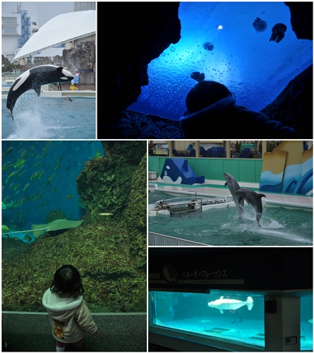 20120414.jpg