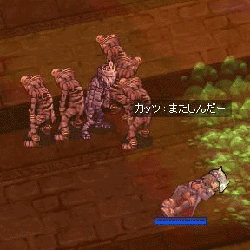 catze15.gif