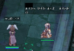 catze50.gif