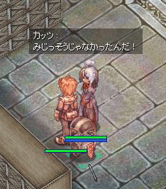 catze79.gif
