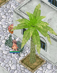 catze100.gif