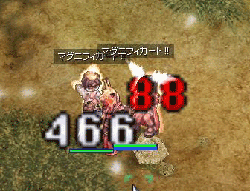 catze165.gif