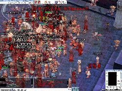 catze232.gif