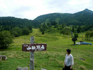 cc1029ba.jpg