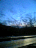 Image0010ws.gif